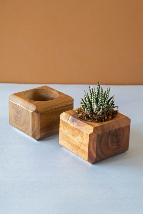 Download this free HD photo of indoor plants, indoor plant, greenery, and succulent by Art and Soil Bangalore (@artandsoil) Wood Plant Holder, Wooden Plant Decor, Plant Pot Holders Diy Wood, Wood Pots For Plants, Small Wooden Plant Stand, Wooden Plant Accessories, Wood Pallet Planters, Woodworking Projects Gifts, Wooden Box Crafts