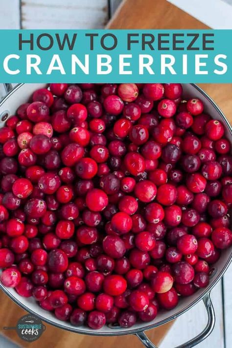 Learn all the tips and tricks for freezing cranberries to keep a stash of this short-season fruit in your freezer. Learning how to freeze cranberries is a great way to preserve this delicious staple of so many baked goods and holiday recipes. #cranberryrecipes #freezingcranberries #kitchentricks #preservingfood How To Freeze Cranberries, Cranberry Preserves, Canned Cranberries, Freezing Fruit, Leftover Cranberry Sauce, Cranberry Relish, Sugared Cranberries, Home Canning Recipes, Cranberry Bread