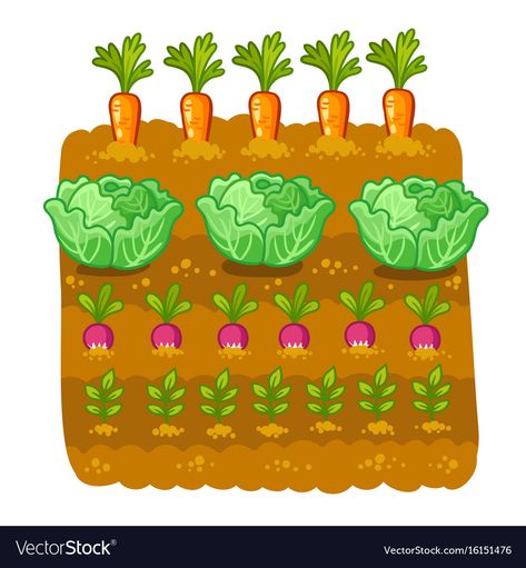 Vegetable Cartoon, Vegetable Patch, Garden Clipart, Vegetable Illustration, Vegetable Farming, Garden Illustration, Garden Drawing, Garden Services, Farm Theme