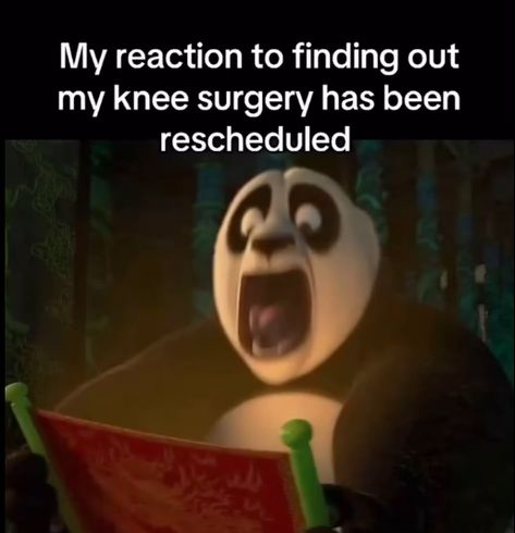 knee surgery is tommorow #kneesurgery Good Cai Bots, The Feeling When Knee Surgery, That Feeling When Knee Surgery Is Tomorrow, Knee Surgery Memes Humor, That Feeling When Knee Surgery Tomorrow, That Feeling When Knee Surgery, Knee Surgery Humor, Cute Tummy, Surgery Humor