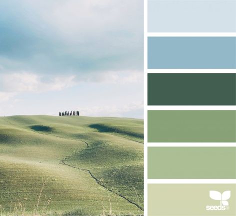 Seeds Color Palette, Seeds Color, Color Palette Challenge, Green Colour Palette, Design Seeds, Colour Schemes, Color Pallets, Modern Colors, Color Themes