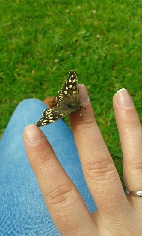 Butterfly landed on my hand. A special visitor saying hello? Butterfly In Hands, Hand With A Butterfly, Butterfly Landing On Hand, Butterfly On Finger Pose, Happiness Is Like A Butterfly Quote, Happy Places, Graphic Design