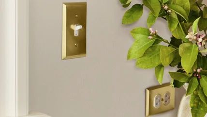 Should You Match Electrical Outlets To The Wall Color? HGTV's Laurie March Weighs In Painting Outlets, Bathroom Outlet, Painting A Wall, Electrical Outlet Covers, Wall Outlets, Electrical Outlets, Outlet Covers, Switch Plates, Wall Color