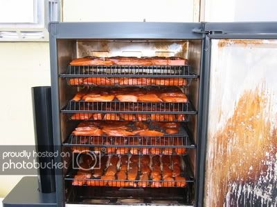 Bradley Smoker Recipes, Bbq Salmon In Foil, Smoked Meals, Fish Filet, Bradley Smoker, Traeger Smoker, Meat Curing, Salmon In Foil, Smoked Salmon Recipes