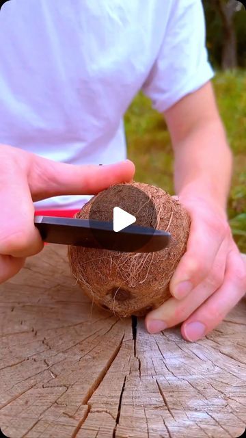 Jun Camping Skills on Instagram: "#camping #bushcraft #adventure #asmr #outdoors #survival" Camping Bushcraft, Bushcraft, Camping, On Instagram, Instagram