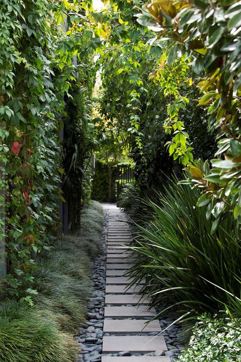 Melbourne Garden, Australian Garden Design, Growing Tulips, Shade Landscaping, Bee Friendly Garden, Virginia Creeper, Australian Garden, House And Garden, Garden Architecture