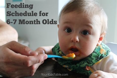 Baby Feeding Schedule, Baby & Toddler Food, Baby Schedule, 6 Month Old Baby, Feeding Toddlers, Baby Eating, Homemade Baby, Led Weaning, Baby Led Weaning