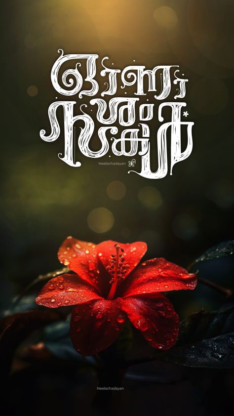 NEELACHADAYANS ONAM TYPOGRAPHY🌼 Vijayadashami Malayalam, Onam Malayalam Typography, ഓണാശംസകൾ മലയാളം, Onashamsakal In Malayalam, Onam Wallpaper, Onam Ashamsakal, Onam Wishes In Malayalam, Buddha Background, Buffalo Tattoo