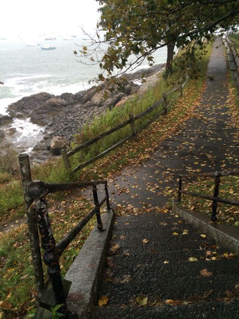 Marblehead Massachusetts, On The Ground, Fall Leaves, R A, Massachusetts, The Ocean, The Beach, Water