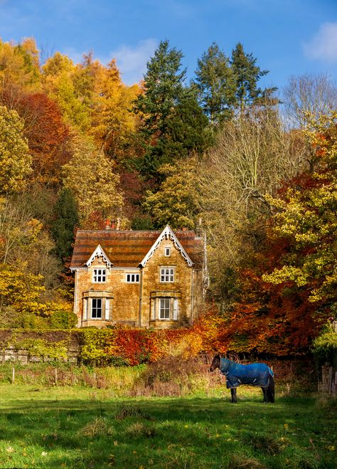 Cottage Autumn, Autumn Village, Autumn House Exterior, Autumn Cottage, Autumn House, October Country, Country Backgrounds, Cottage In The Woods, Autumn Scenery