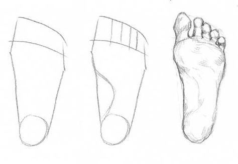 Figure drawing feet Sketch Toturials, Figure Drawing Tutorial, Feet Drawing, Male Figure Drawing, Human Figure Sketches, Human Figure Drawing, Human Drawing, Figure Sketching, Anatomy Drawing