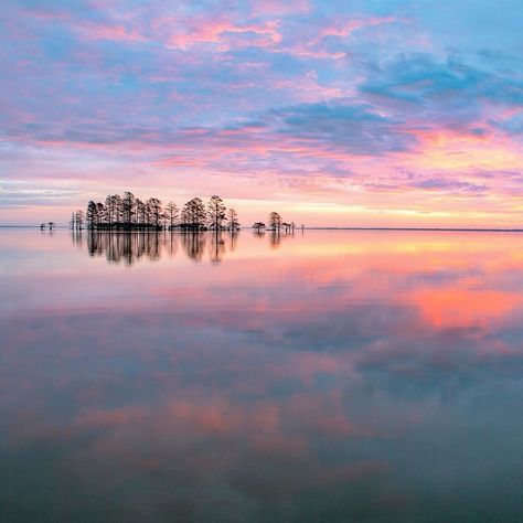 Our State Magazine on Instagram: “This is North Carolina. 📍: Lake Mattamuskeet, Hyde County, NC – 📷: @markbucklerphotography –  #northcarolina #nc #celebratingnc…” North Carolina, Lake, Magazine, On Instagram, Instagram