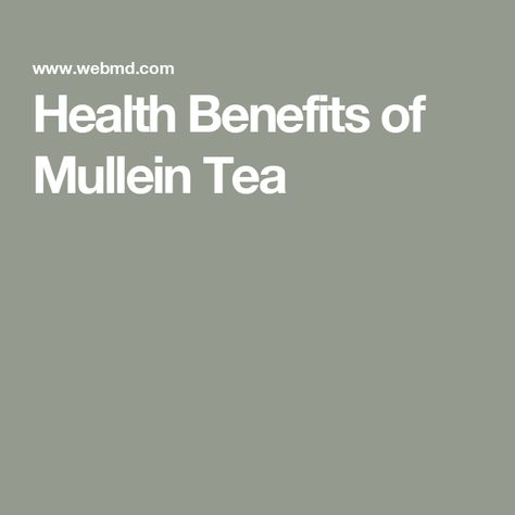 Health Benefits of Mullein Tea Benefits Of Mullein, Remedy For Cold, Mullein Tea, Small Yellow Flowers, Low Calorie Drinks, Sleep Tea, Ear Infections, Herbal Drinks, Cold Cough