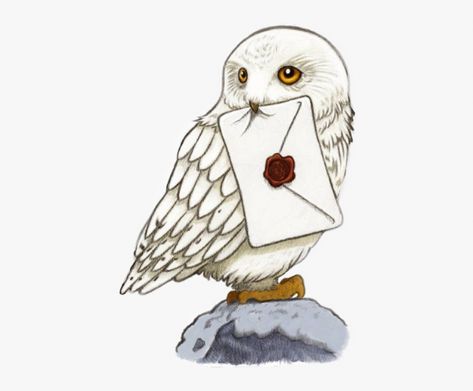 Harry Potter Iphone Icons, Harry Potter Owl Drawing, Fluffy Harry Potter, Wizard Fanart, Harry Potter Sketch, Imprimibles Harry Potter, Sticker Drawing, App Ikon, Harry Potter Cartoon