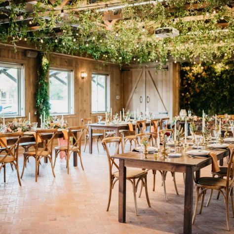 Whit’s Inn - Rustic and Luxurious Weddings | Texas Wedding Venue | Camp Lucy Camp Lucy, Dripping Springs, Wedding Venues Texas, Texas Wedding, Chic Design, Luxury Wedding, Wedding Venue, Austin, Wedding Venues