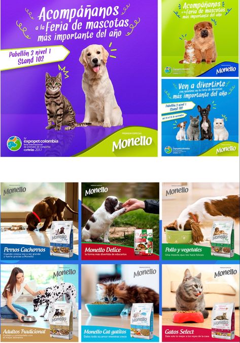 Dog Creative Ads, Friends Design, Website Color Palette, Pet Design, Pet Spa, Feed Ig, Motion Graphics Design, Portfolio Layout, Design Grafico