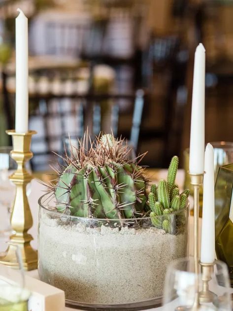 Cactus Wedding Centerpieces, Cactus Centerpieces, Desert Themed Wedding, Western Wedding Cakes, Cactus Centerpiece, Western Wedding Decorations, Succulent Wedding Centerpieces, Western Wedding Invitations, Western Themed Wedding