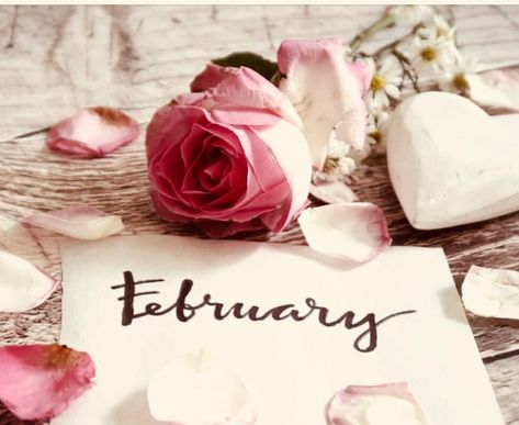 Lovely 10 February, Birthday Month, Months In A Year, Card Holder, Place Card Holders, Valentines, Birthday, Flowers, 10 Things