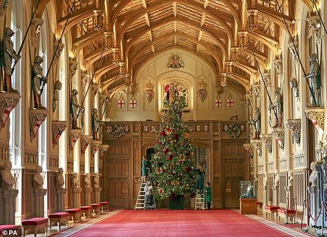 A Royal Collection Trust member of staff puts the finishing touches to a 20ft Nordmann fir... Palace Great Hall, Windsor Palace, St Georges Hall, Castle Christmas, Sandringham Estate, Royal Collection Trust, Royal Palaces, Royal Christmas, Fir Christmas Tree