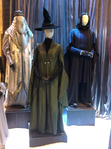 Mcgonnagal Costume, Harry Potter Wizard Fashion, Wizard Robes Harry Potter, Wizard Robes Aesthetic, Pureblood Fashion, Snape Halloween Costume, Wizarding Robes, Battle Wizard, Wizarding Fashion