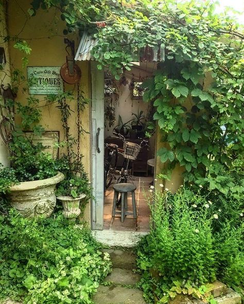 Overgrown Cottage, Nature Aesthetic, Pretty Places, Green Aesthetic, House Inspo, Country Life, Future House, Cottage Core, Pretty Pictures