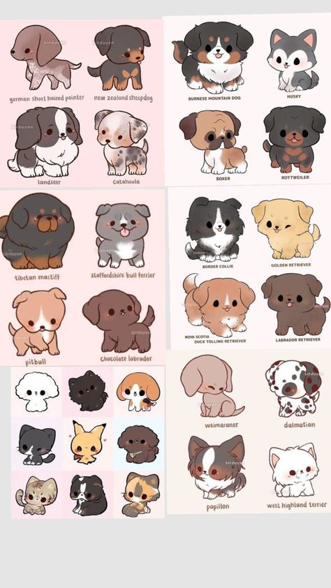 Anime Dogs Drawing, Cute Cockapoo Puppies, Cute Dog Drawing Cartoon, Chibi Chihuahua, Cute Dog Drawing Kawaii, Cute Dog Poses, Kawaii Dog Drawing, Body Guidelines, Cute Puppy Drawing