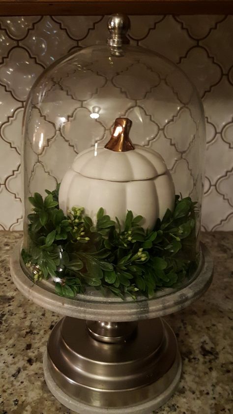 Fall Cloche Ideas Glass Domes, Dome Centerpieces, Cheese Dome Decor, Cake Dome Decor, Fall Cloche Ideas, Cloches Decor Ideas, Pumpkin Styling, Pedestal Decor, Plate Centerpiece