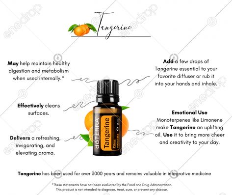 Tangerine - Benefits & Uses FB/IG post & story #Tangerine #tangerine uses #Tangerine benefits #ways to use tangerine #tangerine oil #wellnessadvocate #doterra #wellnessstockphotos #onedropdesigns #doterrawellnessadvocate #doterratips #doterragraphics #doterraphotos Tangerine Essential Oil Benefits, Tangerine Benefits, Tangerine Essential Oil, Doterra Wellness Advocate, Essential Oil Benefits, Integrative Medicine, Oil Benefits, Ig Post, Doterra