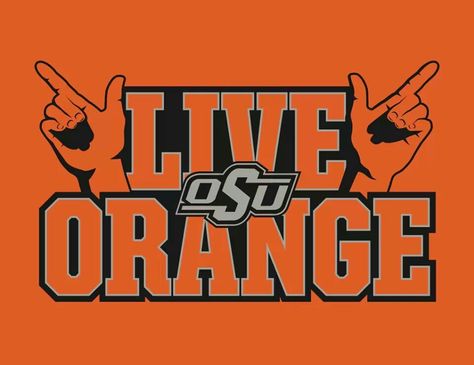 You only live orange Osu Game, Oklahoma State Football, Osu Cowboys, Go Pokes, College Colors, Oklahoma State Cowboys, Cowboys Nation, Picture Boards, Oklahoma State University