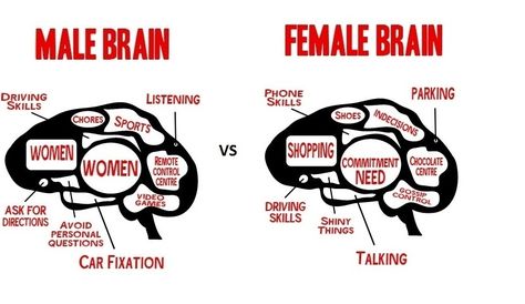 Brain Cartoon, Men Vs Women, Different Quotes, Listening Skills, Man Vs, Guys Be Like, Funny Cartoons, Bones Funny, Funny Photos