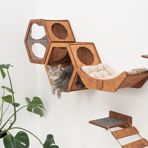 Modern Cat Wall Furniture: Wood Hexagon Shelves for Cats by CatsMode • Kritter Kommunity Cat Climbing Wall Shelves, Wall Cat Shelves, Cat Feeding Shelf, Cat Climbing Shelves, Cat Climbing Wall, Cat Stairs, Wood Hexagon, Cat Wall Shelves, Modern Cat Furniture