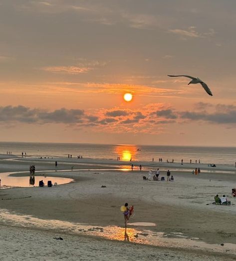 Mayflower beach, Dennis Cape Cod. July 18,2023 Cape Cod Fall Aesthetic, Dennis Cape Cod, Cape Cod Beach Aesthetic, Cape Cod Fourth Of July, Cape Cod Sunset Aesthetic, Cape Cod Aesthetic, Cape May Beach, Mayflower Beach Cape Cod, Seaside Sunset Aesthetic