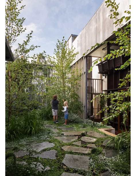 Courtyard Ideas, Australian Garden, Small Courtyards, Most Beautiful Gardens, Native Garden, Garden Landscape Design, Landscaping Design, Courtyard Garden, Landscape Projects