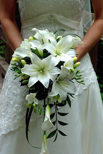 Outdoor Wedding Backdrops, Bridal Brooch Bouquet, Wedding Bouquets Bride, Lily Wedding, Bridal Bouquet Flowers, Lily Bouquet, Flower Arrangements Simple, Party Dresses Online, Diy Wedding Flowers