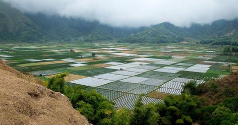 Agriculture Land, Science Festival, Tropical Countries, Beach Bali, Theoretical Physics, Sustainable Landscaping, Agricultural Land, Land Use, Header Image