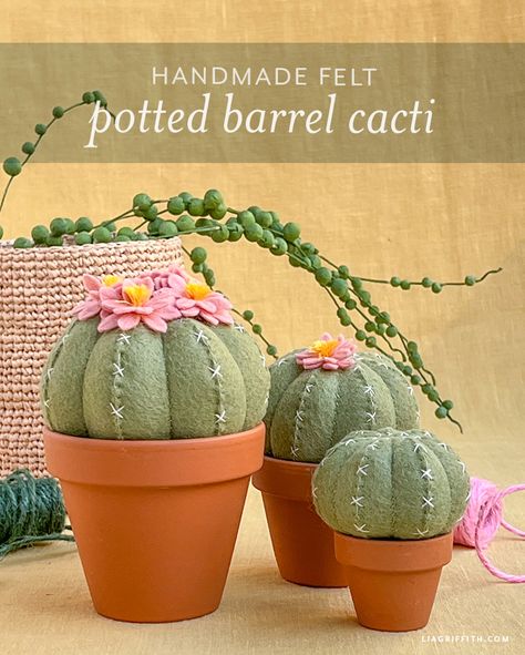 Felt Cactus Diy Pattern, Cactus Crafts Decoration, Cactus Felt Pattern, Felt Cactus Pattern Free, Felt Plants Pattern, Felt Cactus Diy, Paper Plants Diy, Cactus Template, Lia Griffith Felt