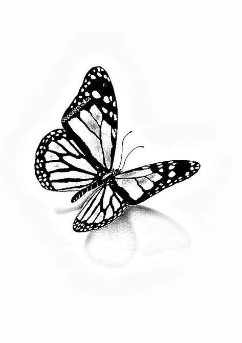 Where Tattoo, 3d Butterfly Tattoo, Needle Tattoo, Butterfly Stencil, Single Needle Tattoo, Butterfly Tattoos, 3d Tattoos, 3d Tattoo, Ink Master