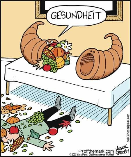 Funny Thanksgiving Pictures, Funny Thanksgiving Memes, Turkey Jokes, Thanksgiving Meme, Thanksgiving Puns, Mark Parisi, Thanksgiving Quotes Funny, Thanksgiving Cartoon, Off The Mark