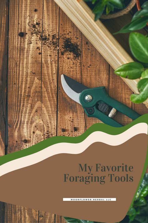 Foraging Tools and Tips Foraging Tools, Garden Knife, Harvesting Tools, Best Hiking Shoes, Types Of Herbs, Berry Picking, Into The Forest, When I Go, Spring Is Coming