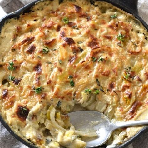 Caramelized Fennel, Leek & Onion Gratin Potato Leek Gratin, Onion Gratin, Leek Gratin, Fennel Gratin, Cheesy Leeks, Native American Humor, Potato Au Gratin, Christmas Side Dish Recipes, Leek And Potato