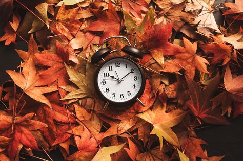 Fighting Seasonal Regression: 6 Ways to Adjust to Less Daylight https://www.rismedia.com/2022/11/13/fighting-seasonal-regression-6-ways-adjust-less-daylight/ #Howsthemarket? #RealEstate Daylight Savings Time Humor, Autumn Clock, Daylight Saving Time Ends, Clocks Go Back, Daylight Saving Time, Daylight Saving, Vintage Alarm Clocks, Daylight Savings, Daylight Savings Time