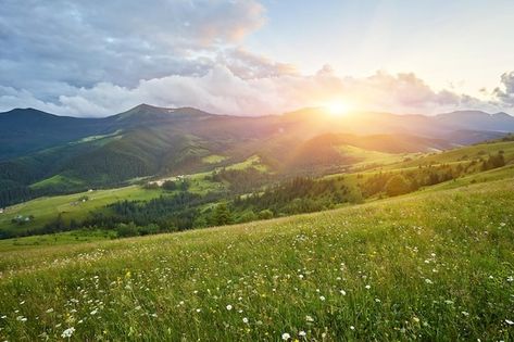 Free photo summer landscape in mountains... | Free Photo #Freepik #freephoto #green-hills #valley #grass-hill #highland Landscape Hill, Hill Landscape, Background Tree, Trading Business, Landscape Horizontal, Photo Summer, Green Hills, The Blue Sky, Grass Field