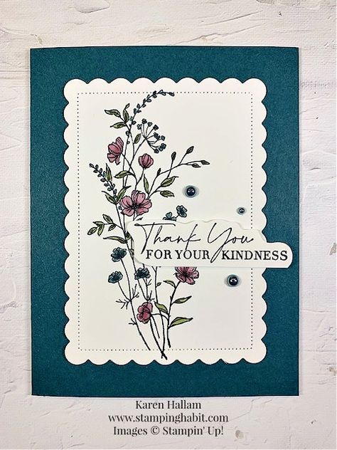 Stampin Up Dainty Delight, Dainty Delight, Diy Gift Set, Hello Cards, Summer Cards, Thanks Card, Spring Cards, Friendship Cards, Stamping Up Cards