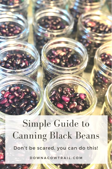 Pressure canned black beans are easy to make at home with this simple tutorial! Don't buy black beans, preserve your own in your kitchen! Black Beans Canned Recipes, How To Can Black Beans, Can Black Beans, Can Black Beans Recipe Easy, Canning Black Beans Recipe, Canning Dry Black Beans, Canning Dried Beans, Canned Black Bean Recipes, Canning Black Beans