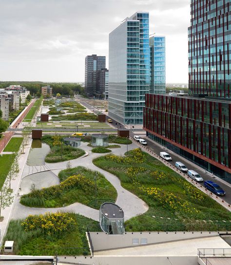 Mandelapark, Almere by karres+brands « Landscape Architecture Platform | Landezine Villa Architecture, Park Ideas, Plans Architecture, Easy Landscaping, Micro House, Landscape And Urbanism, Urban Landscapes, Landscape Architecture Design, Urban Park