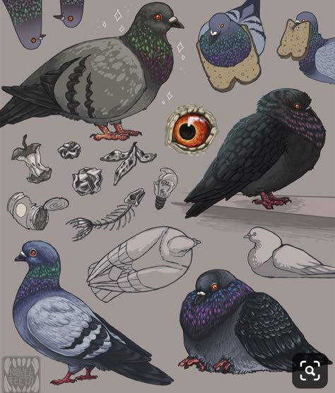 Pigeon Drawing, Pigeon Illustration, Pigeon Tattoo, Pigeon Art, Cute Pigeon, Arte Indie, Bel Art, Art Mignon, Fun To Draw