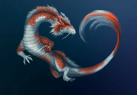 Dragon Koi Fish, Fish Dragon, Koi Dragon, Koi Tattoo, Little Dragon, Dragon Drawing, Creature Concept Art, Dragon Design, Ancient China