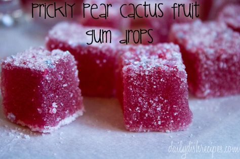 Prickly Pear Cactus Fruit Gum Drops - I've never made anything out of prickly pear, but I will now Prickly Pear Jelly, Prickly Pear Recipes, Cactus Recipe, Cranberry Jelly, Pear Fruit, Pear Recipes, Prickly Pear Cactus, Gum Drops, Homemade Candies