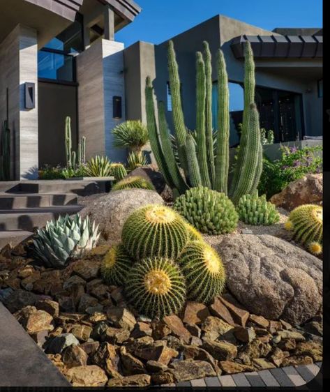 Modern Desert Front Yard, Red Yucca Landscape, Xeriscape Backyard, Fence Edging Ideas, Front Garden Landscaping, Desert Plants Landscaping, Fall House Decor, Cactus Garden Design, Fence Edging