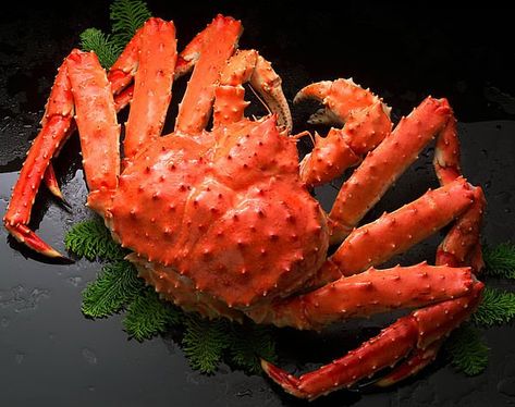 Red King Crab, Lobster Bisque Soup, Crab Appetizer, Coconut Crab, Alaskan King Crab, Crab Stuffed Mushrooms, King Crab Legs, Fresh Lobster, Crab Boil